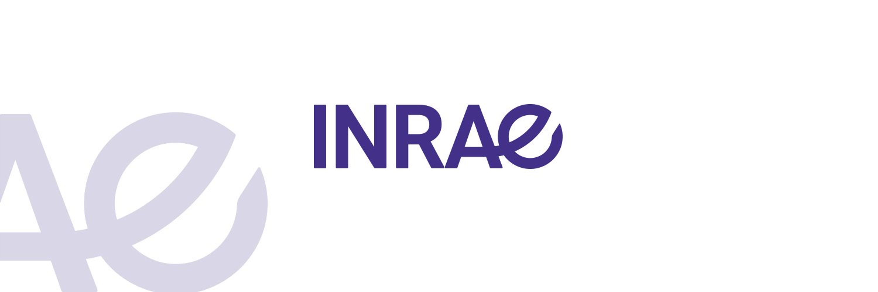 INRAE_DPT_PHASE
