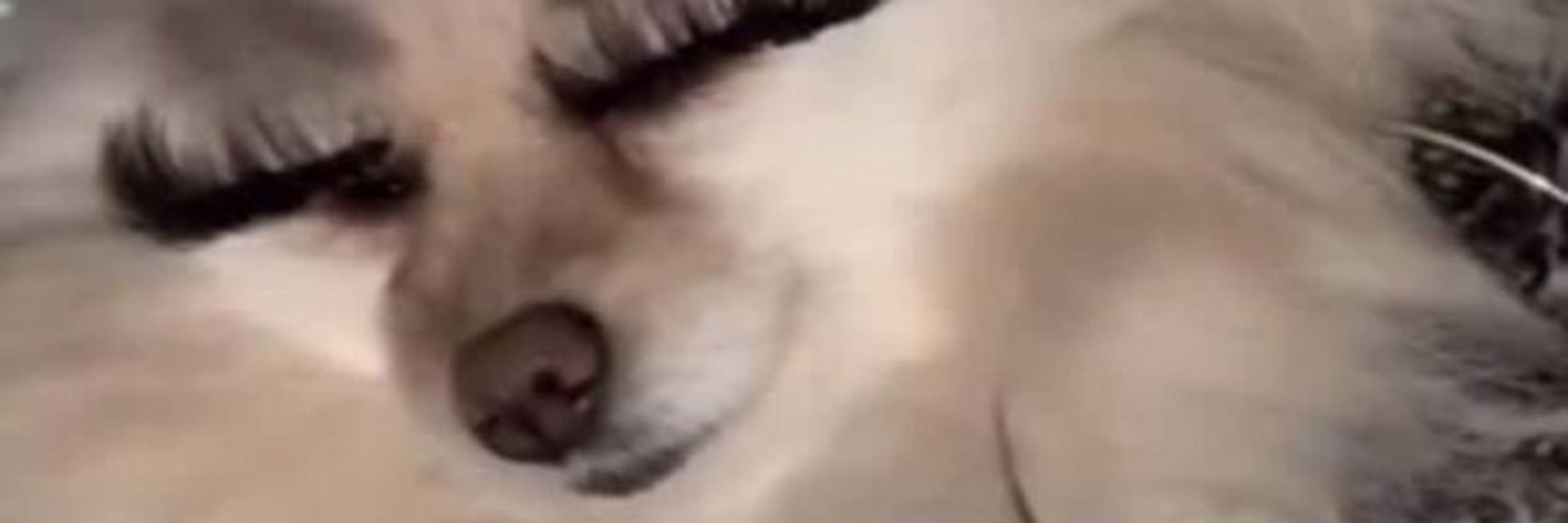 Lu