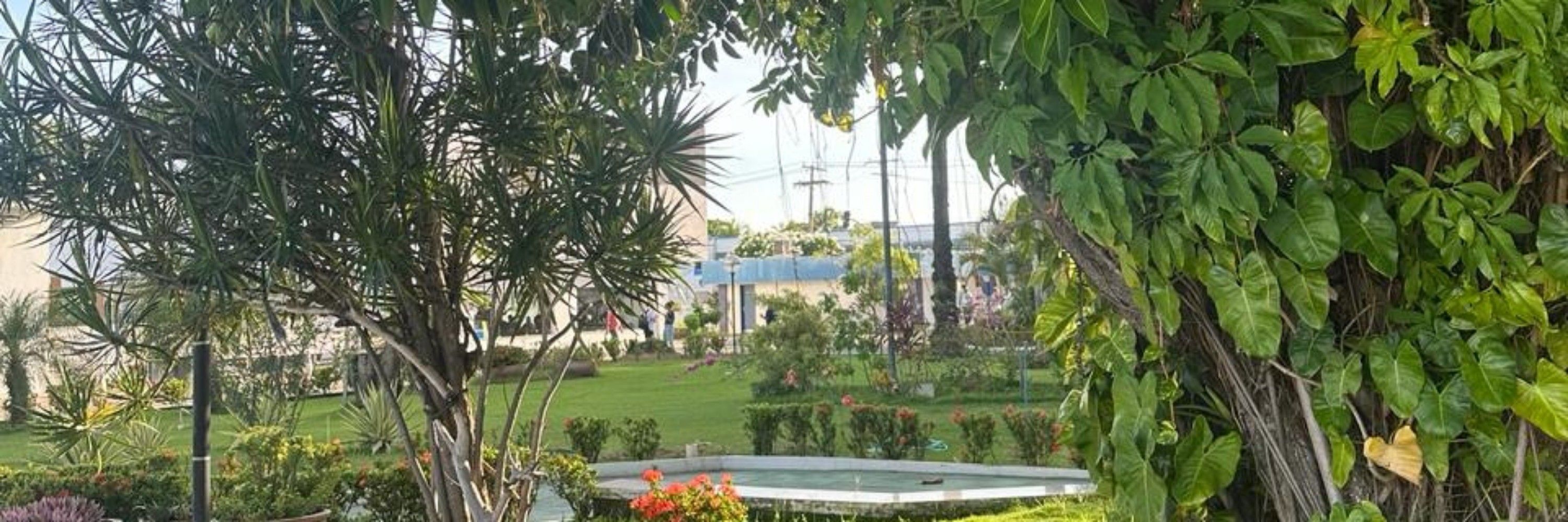 Pereira 