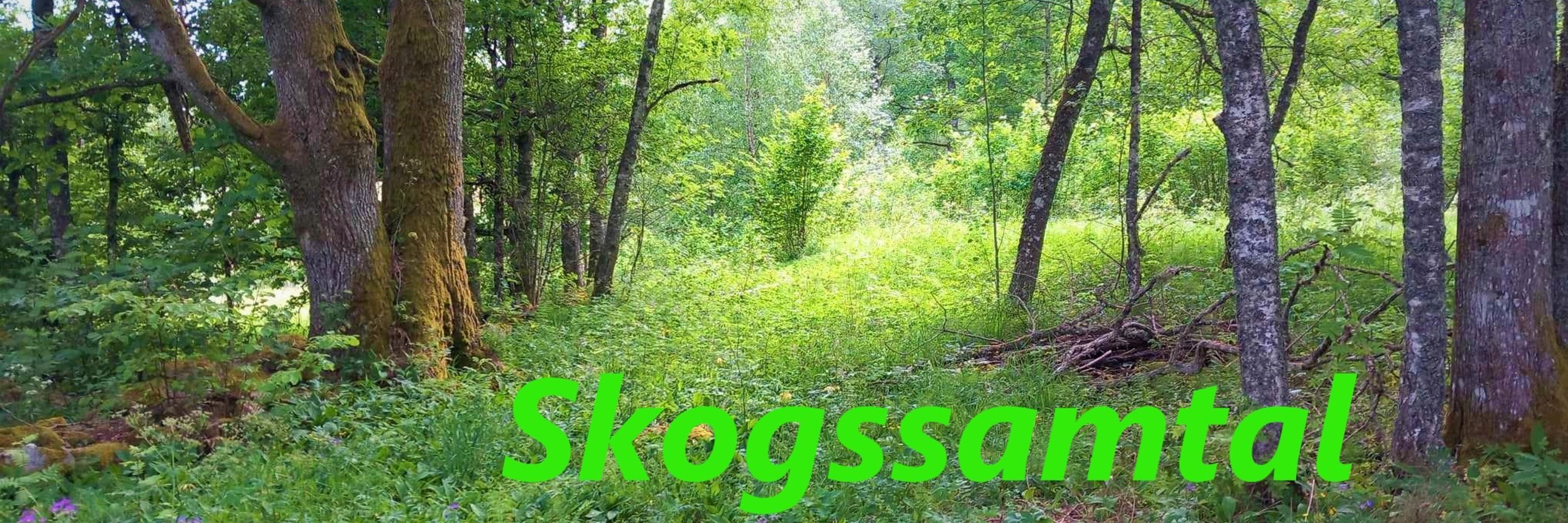 Åse Eliason Bjurström