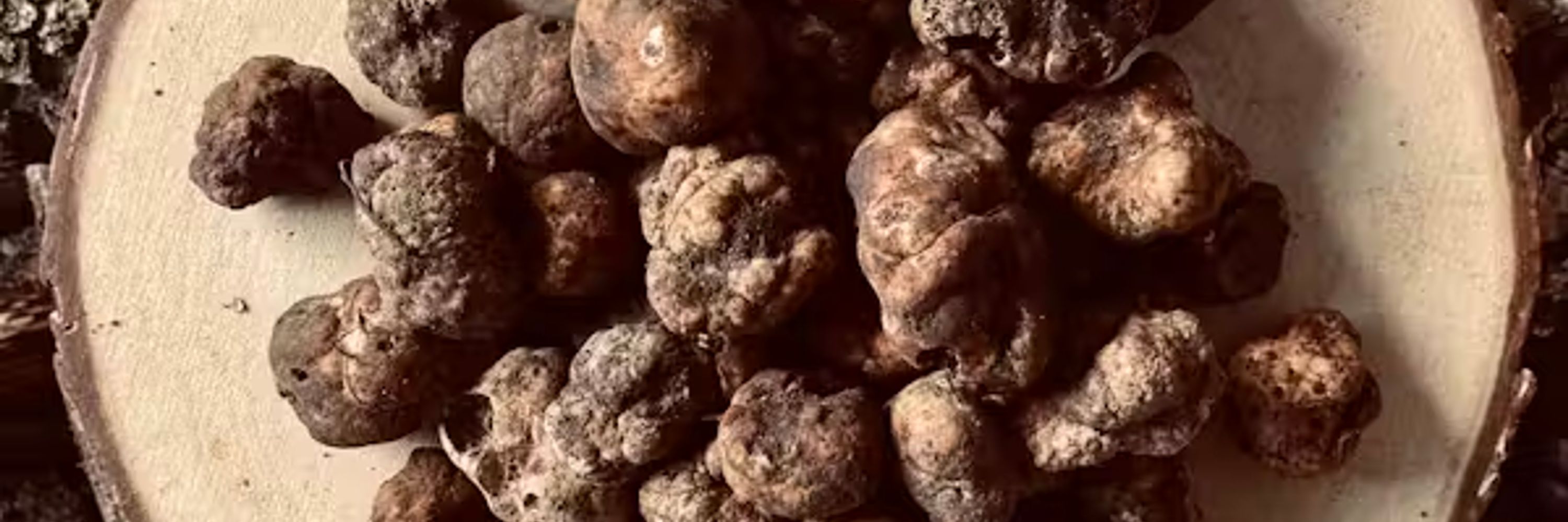 Great British Truffle Festival 2025