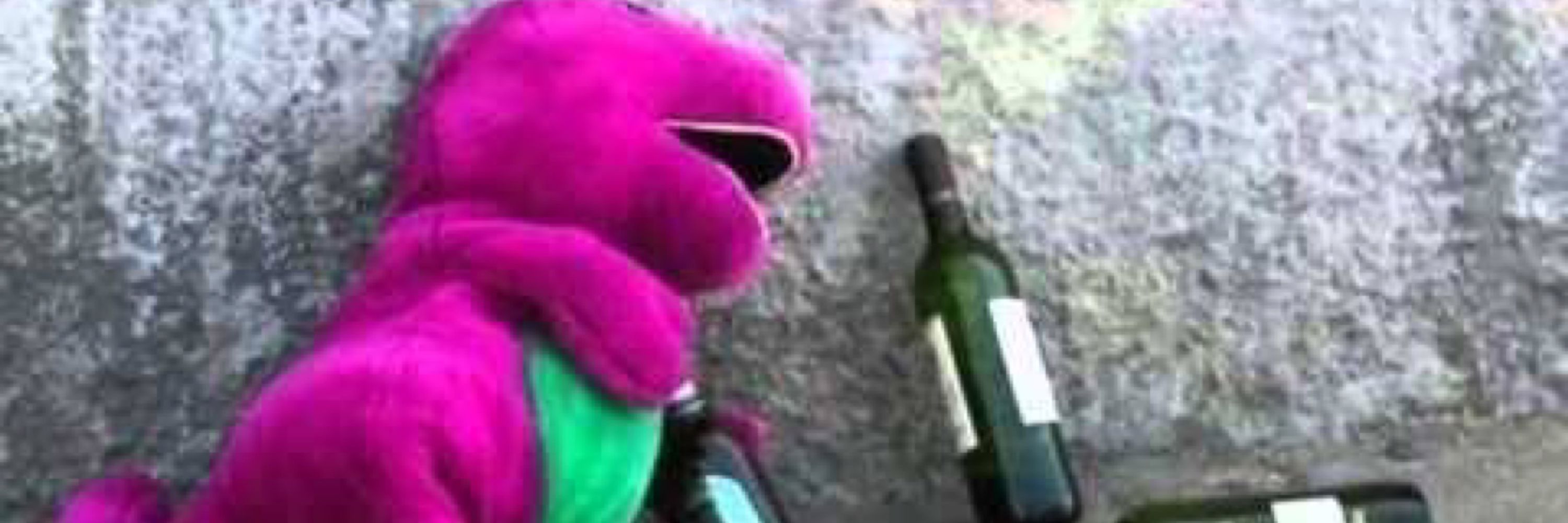 porygay
