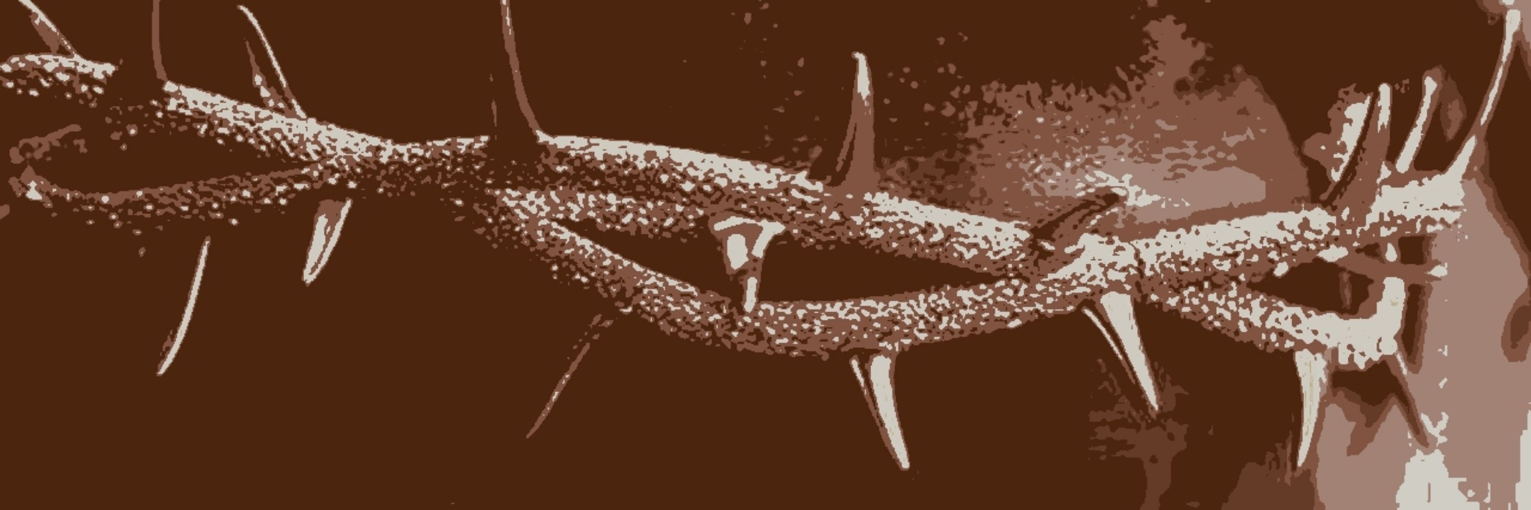 ៹ 🏳‍⚧ 𝗹𝗼𝘂 𝗮𝗹𝗲𝘅 ☭