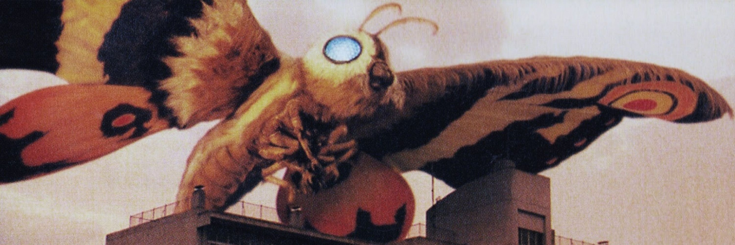 Daily Mothra ʚïɞ