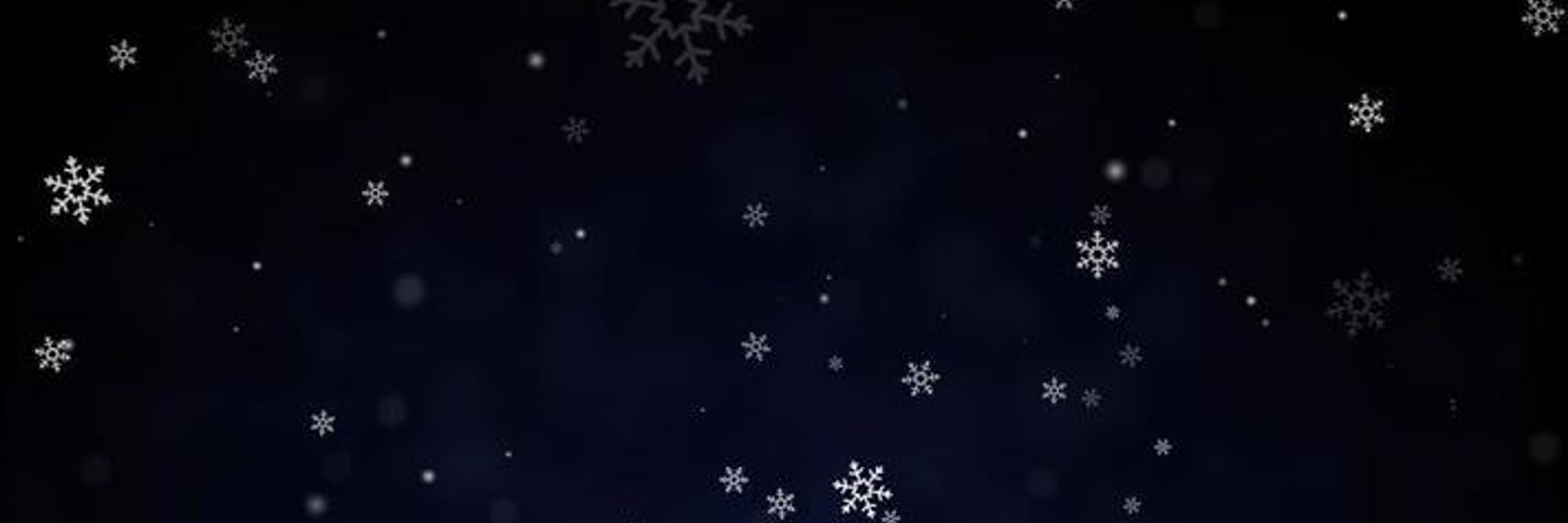 FRACTAL ❄️