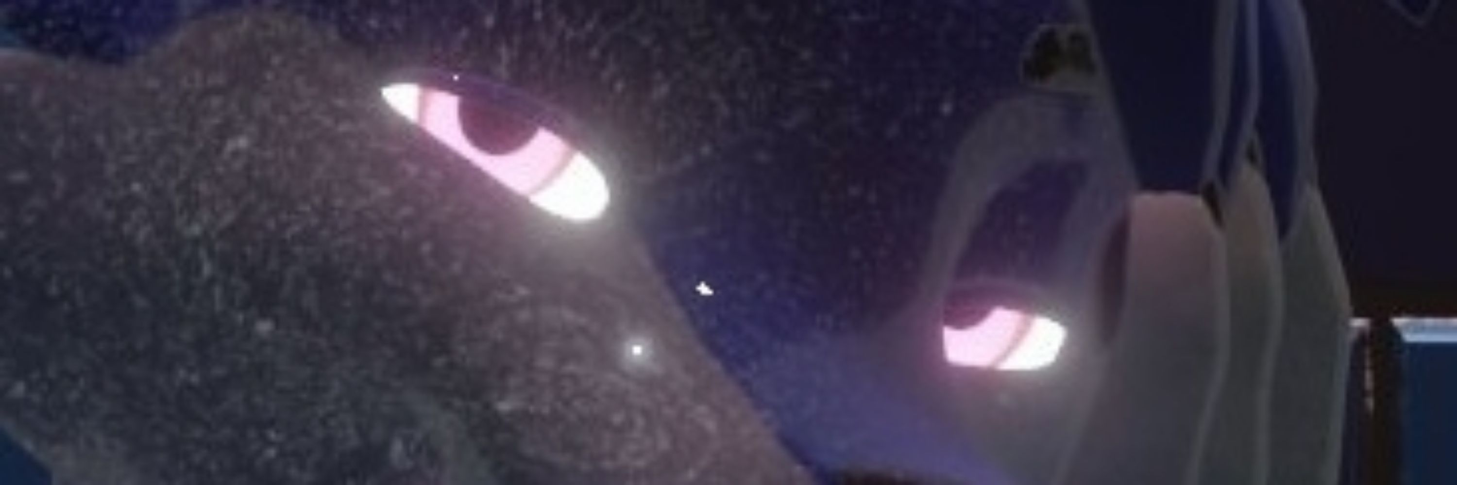 Gemini Starfielder {🌌ENVtuber}