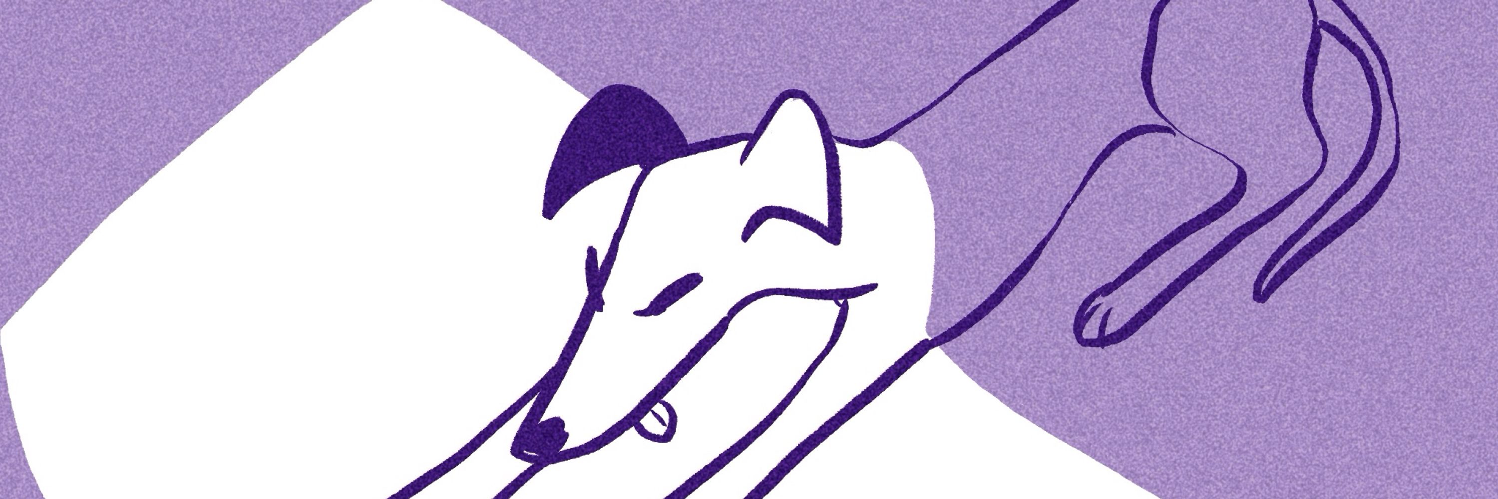 Daku