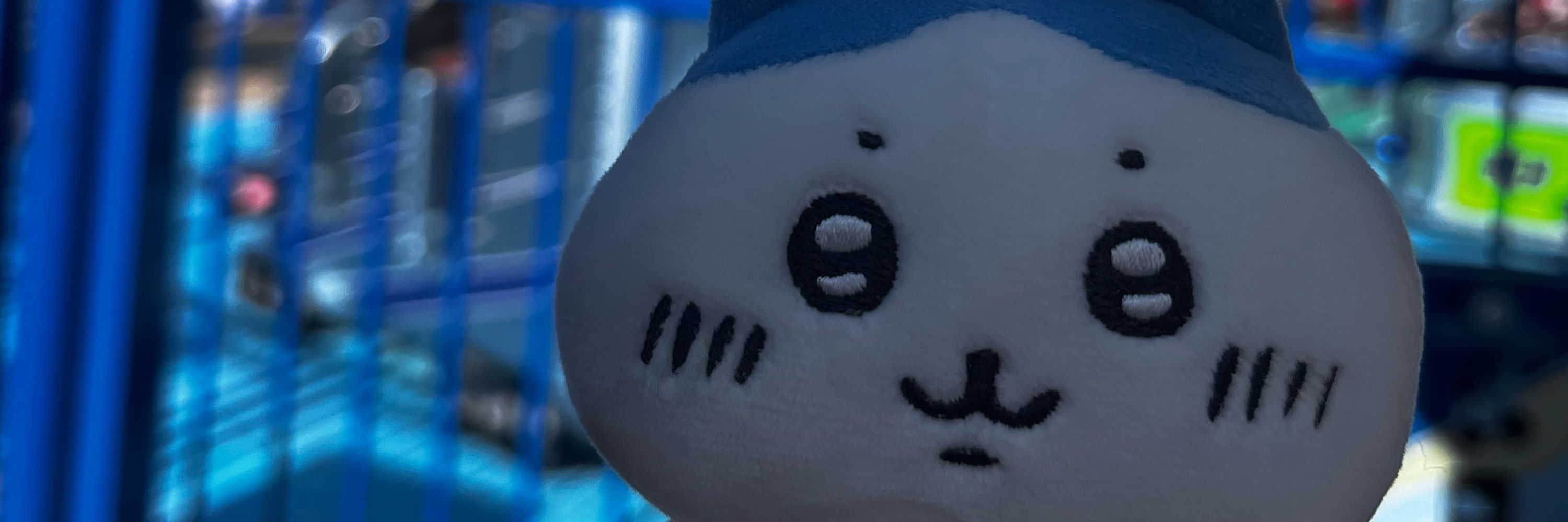 🍄ﾁｬﾝ