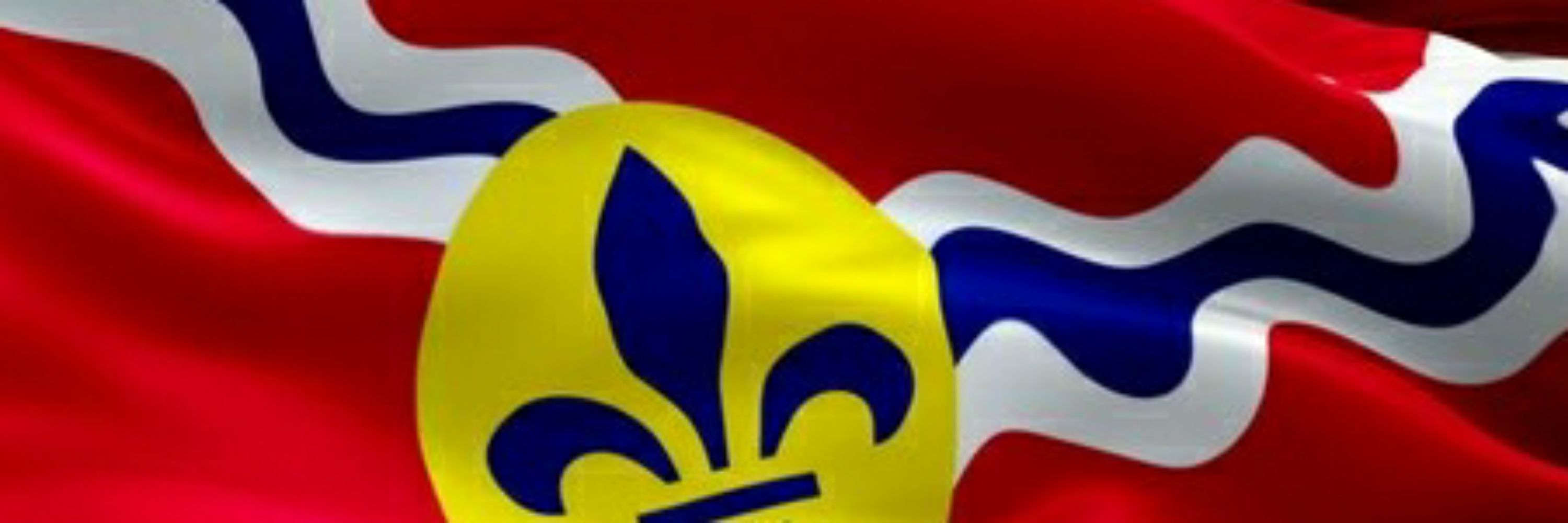 Saint Louis Left Wing