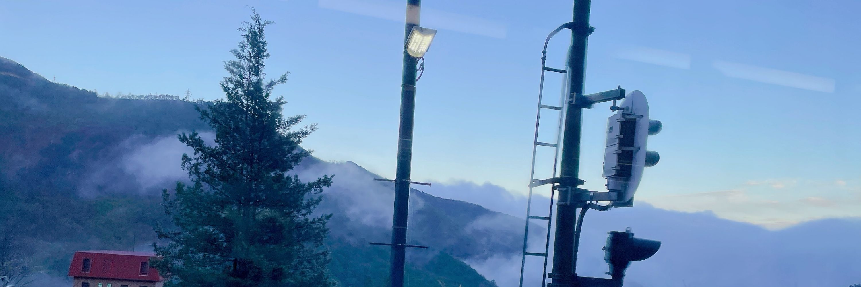 沼