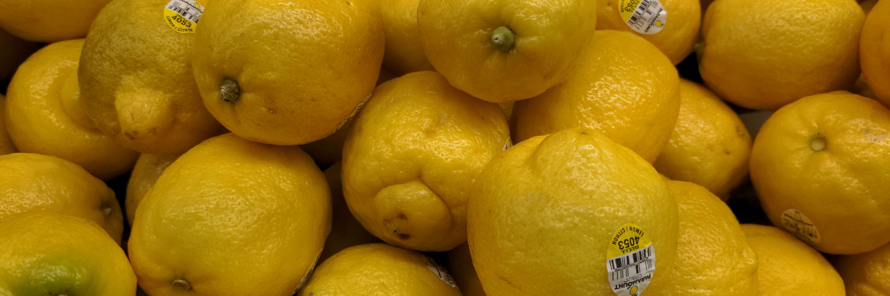 Lemonheep in Bluskey