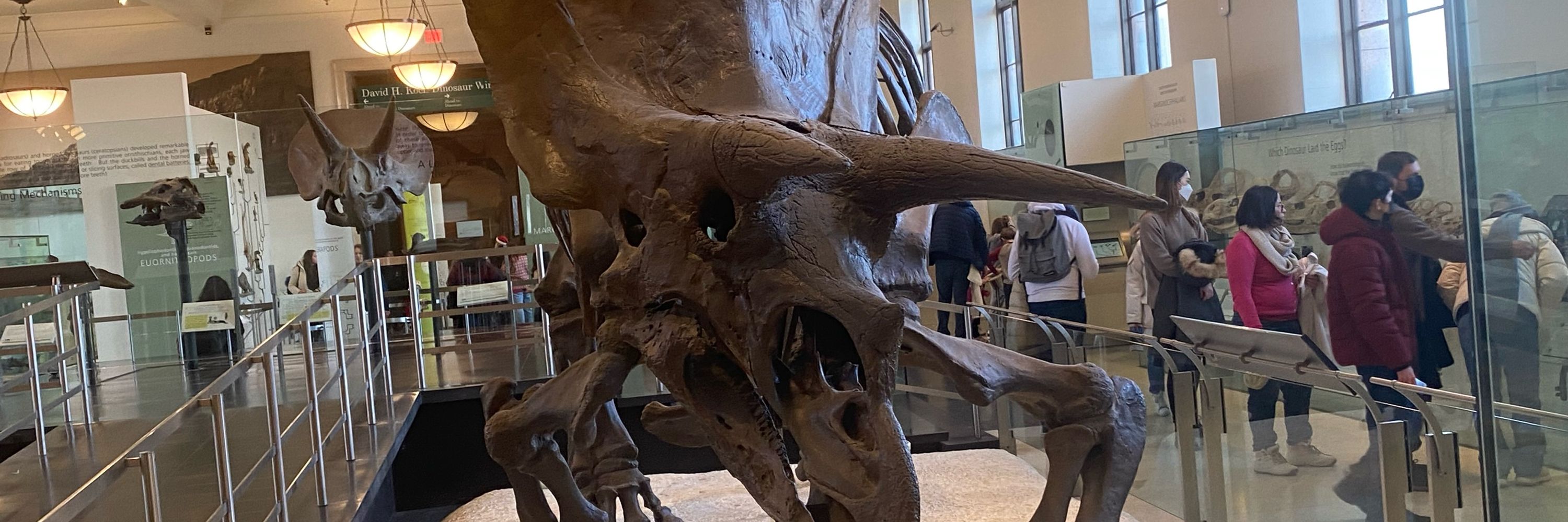 Titanus
