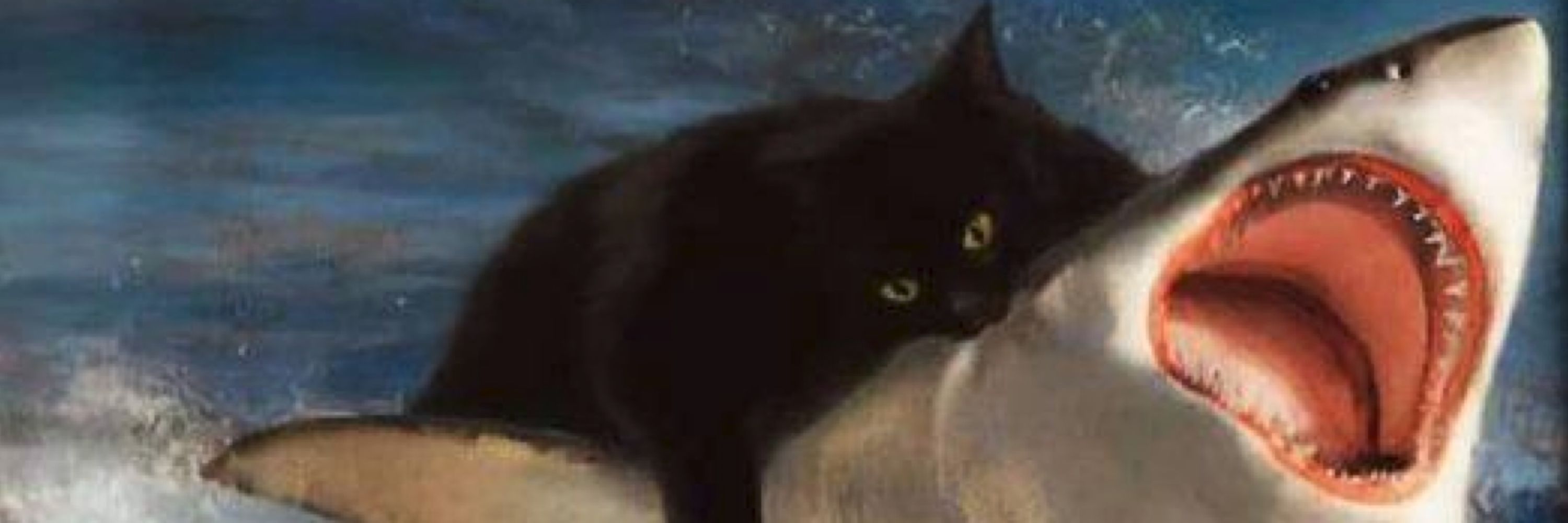 KFuchs72