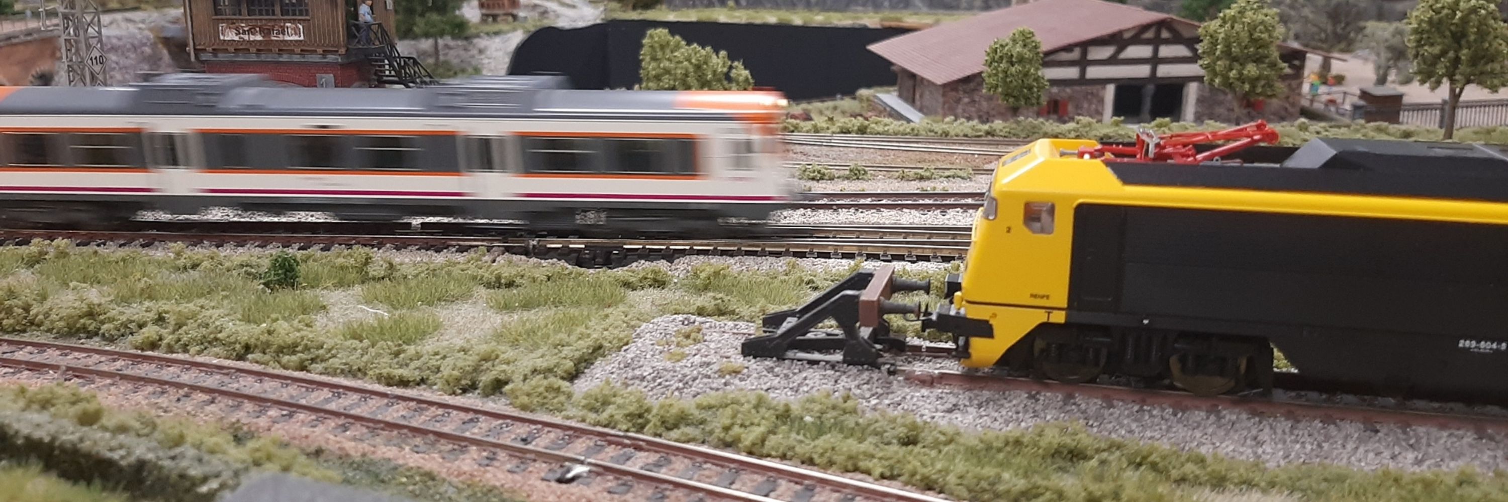  Bass tren