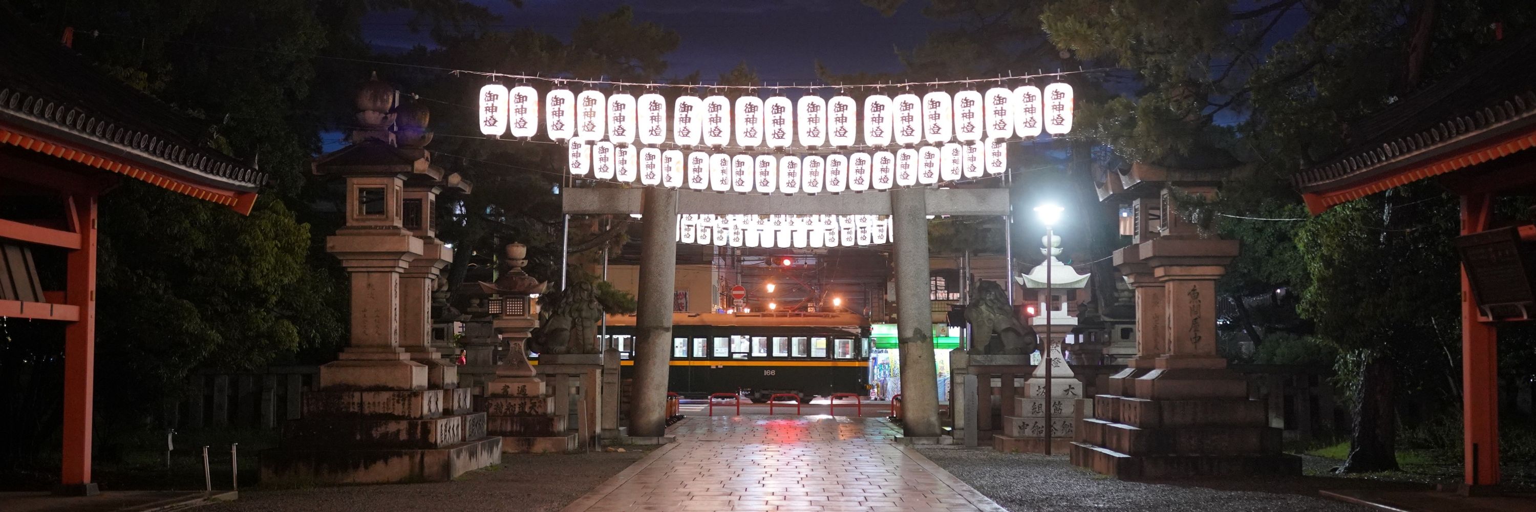 鳩の尻尾
