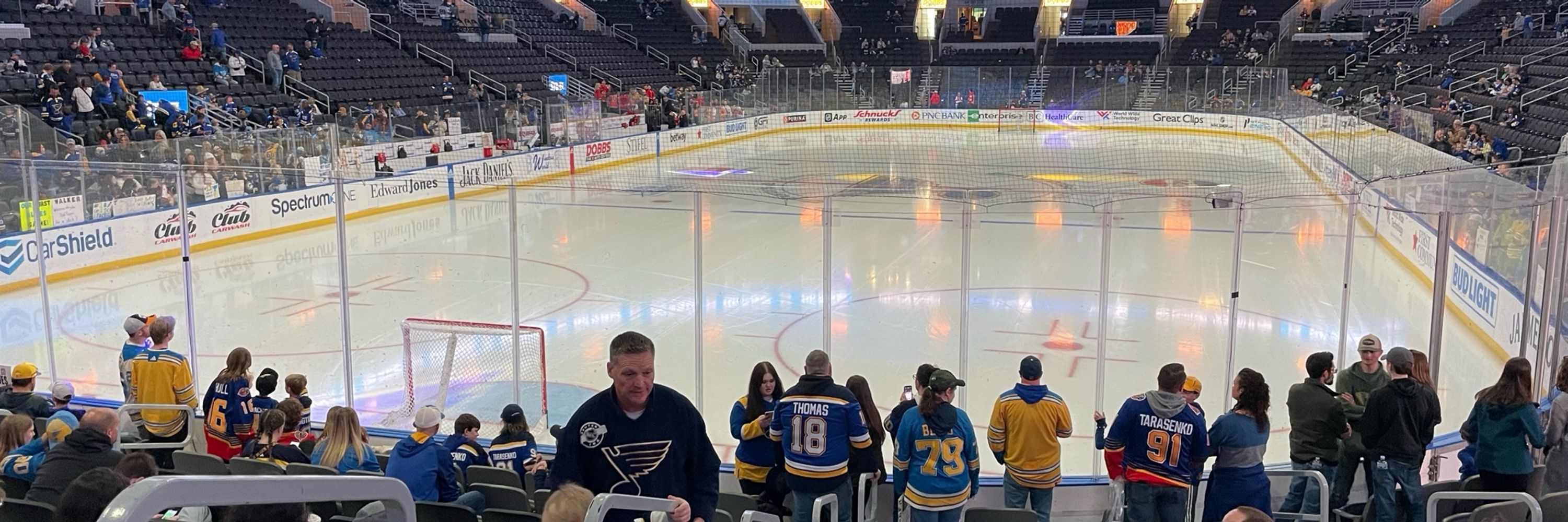 Blues Hockey Fan