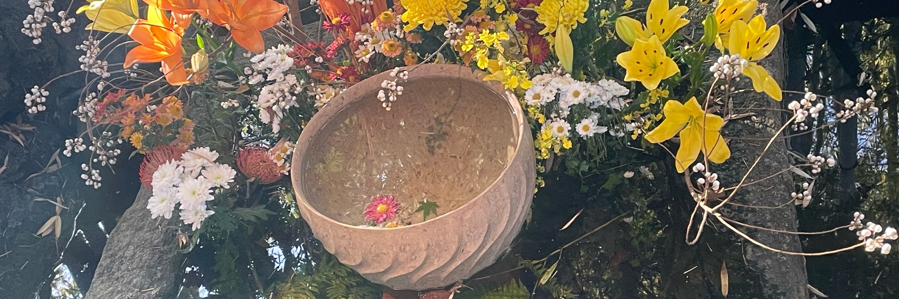 せ