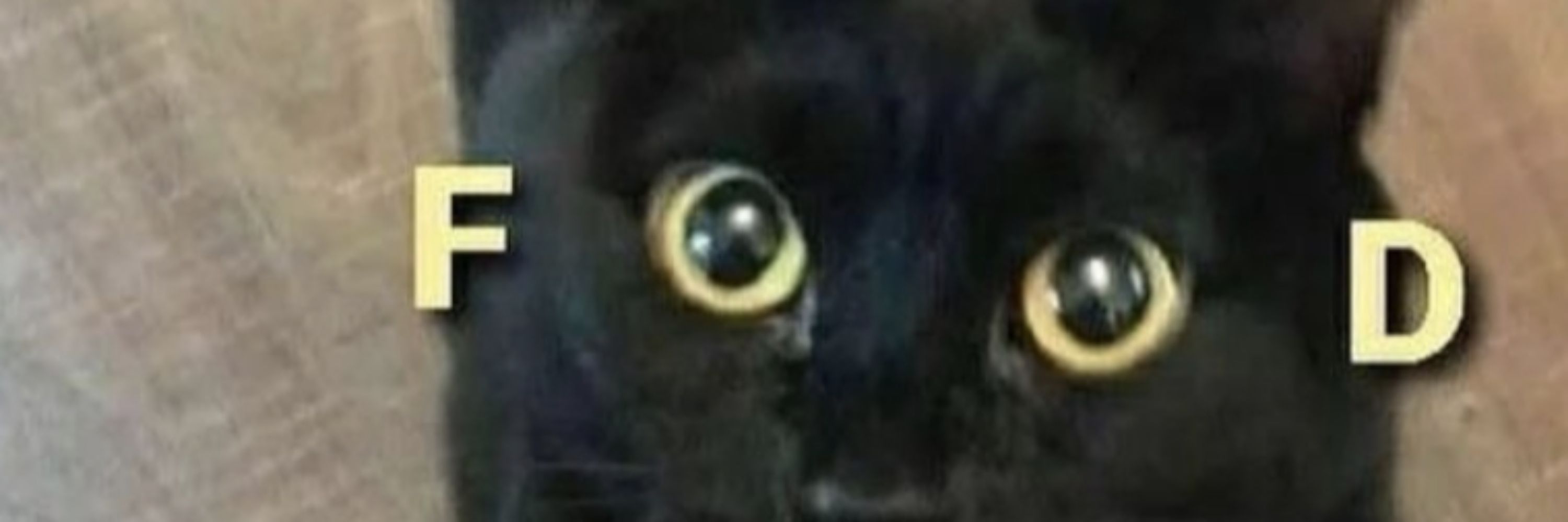 Fletcher (Catboy Era)