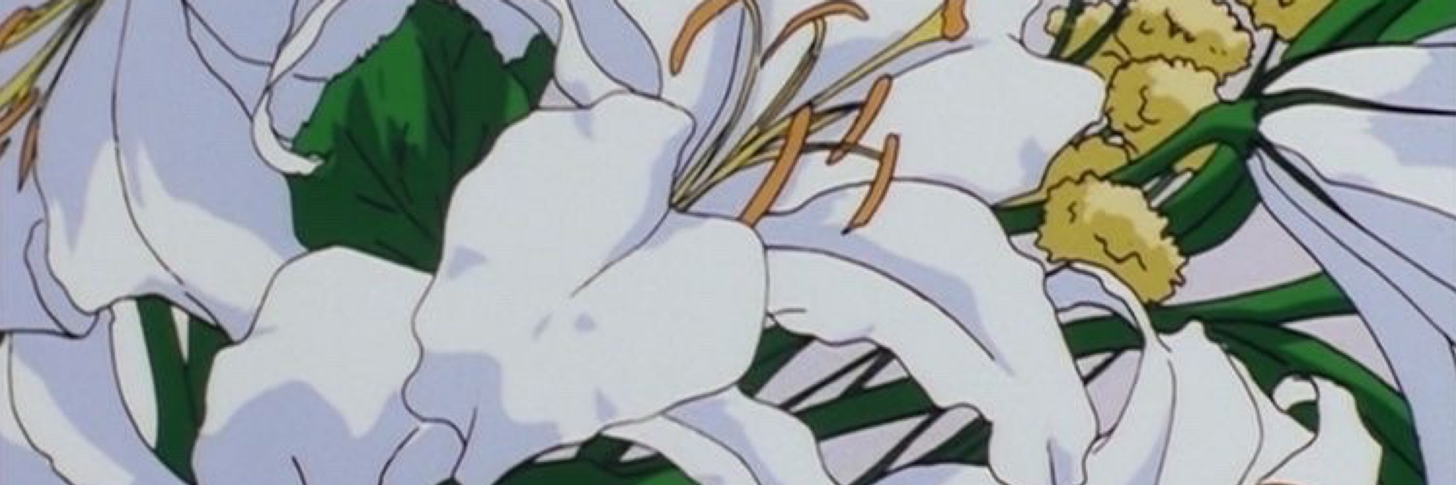 lily