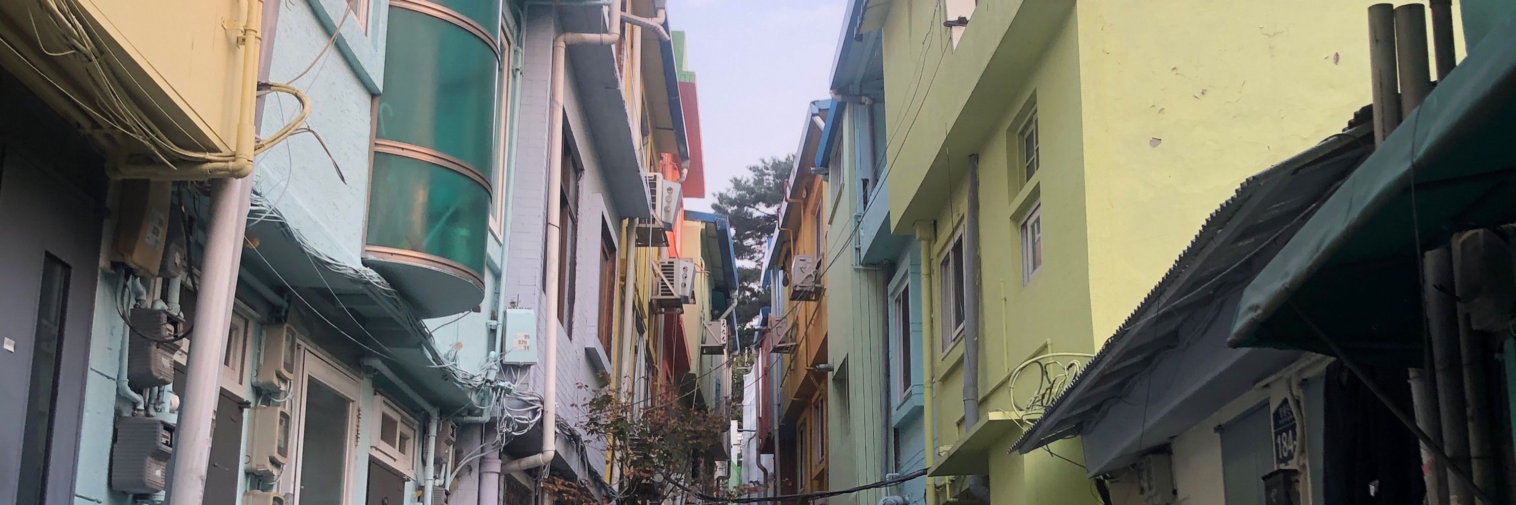 소젯