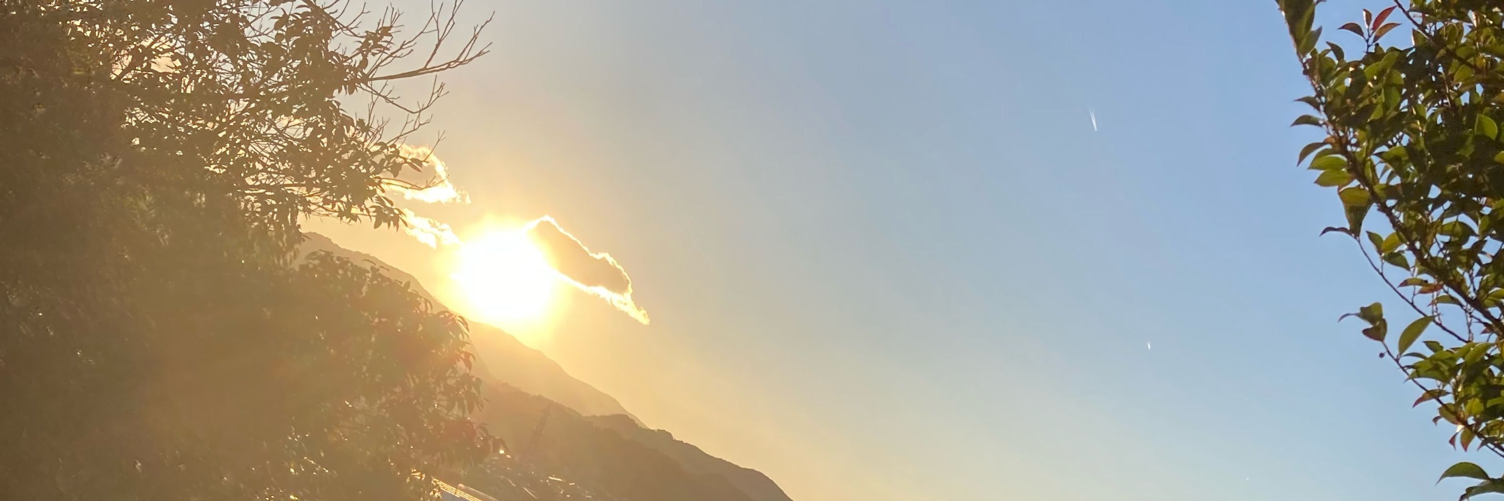 伏見