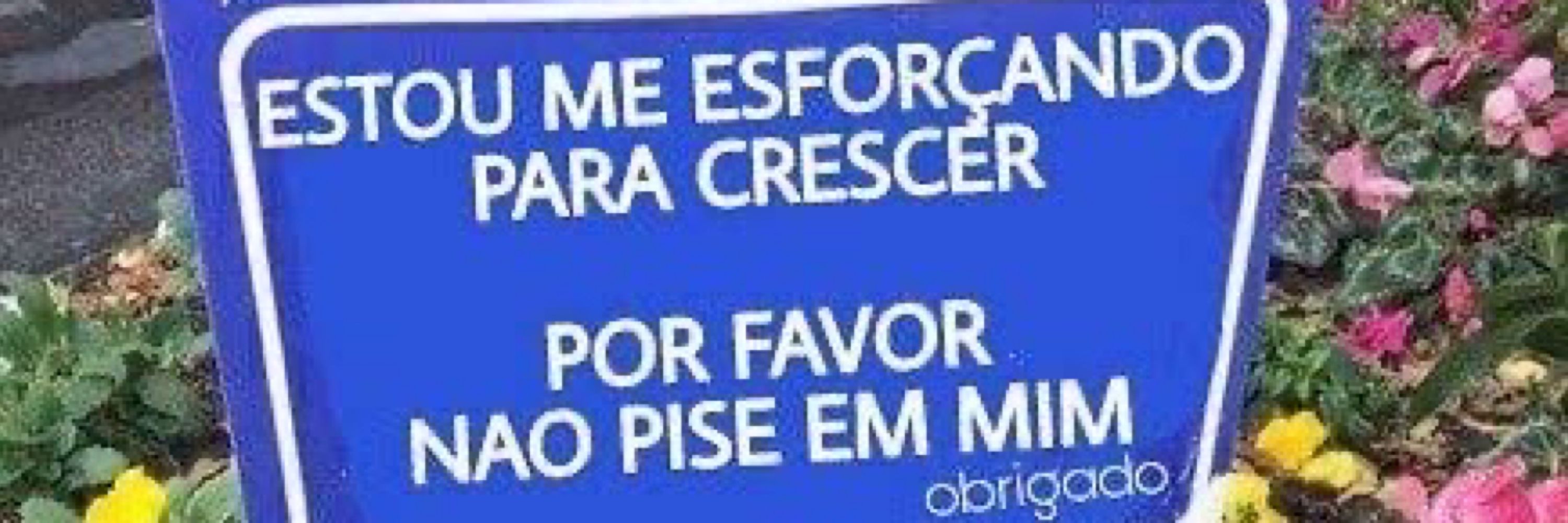 pripoca