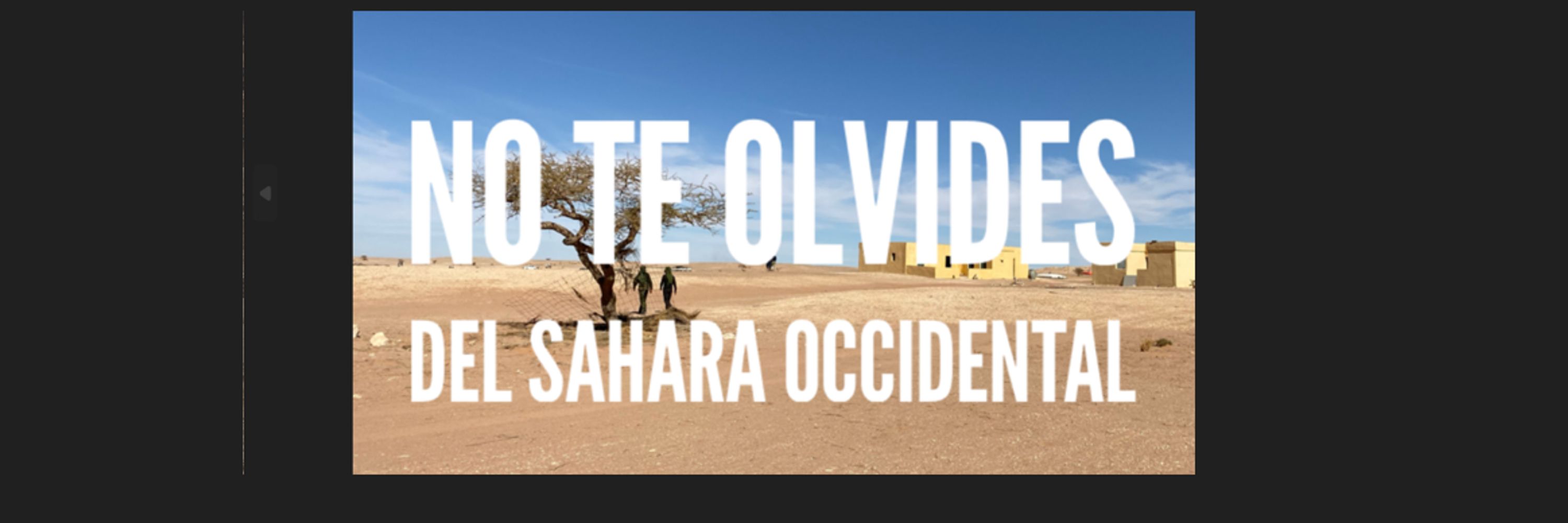 CAUSA SAHARAUI