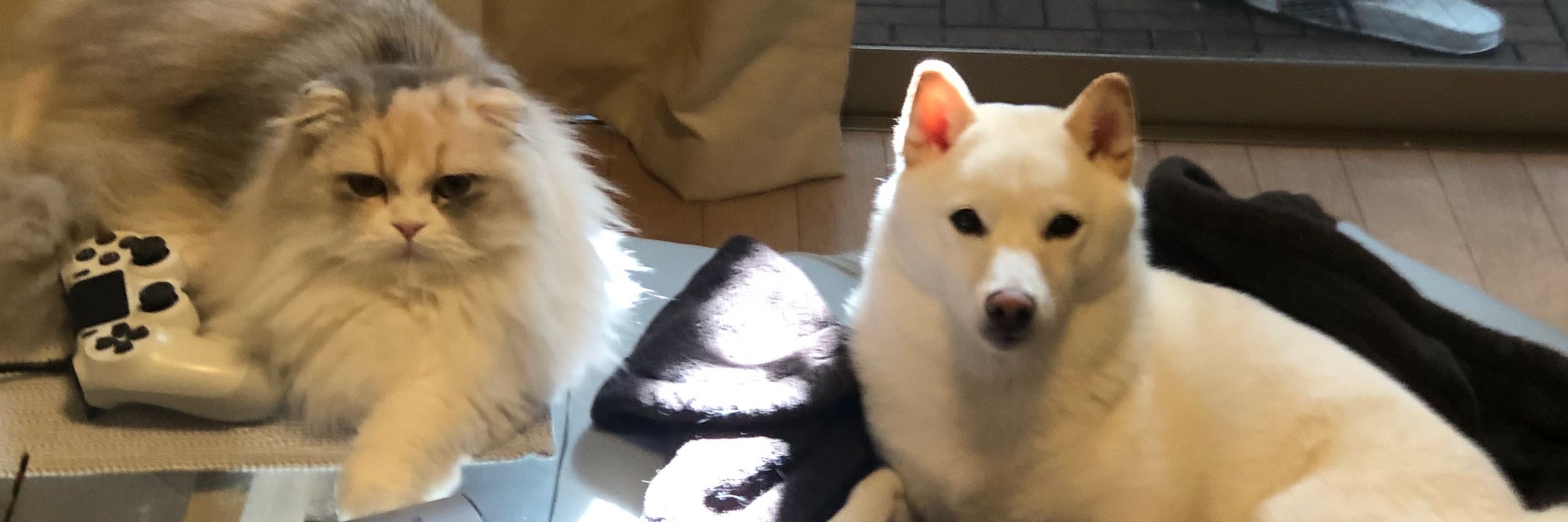 とげたろう