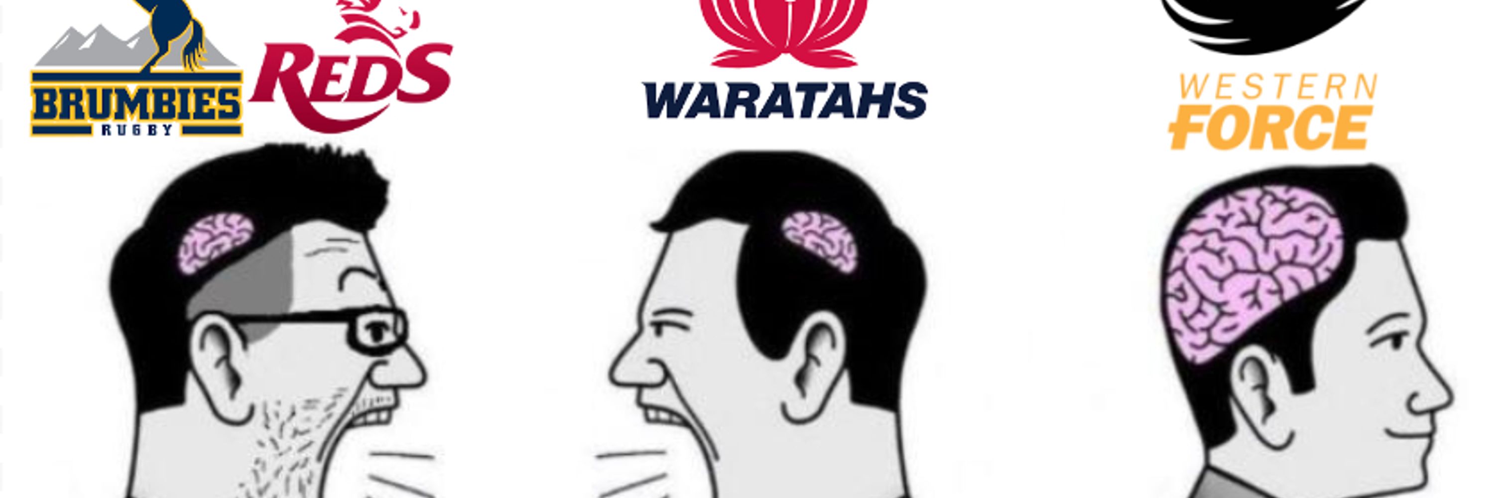Super Rugby Pacific fan