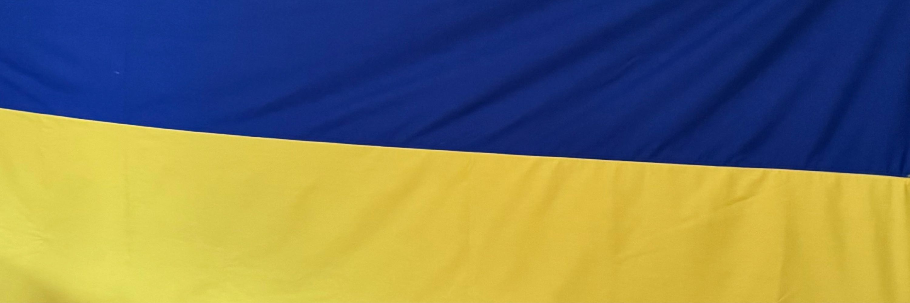 Dosa Ukraine