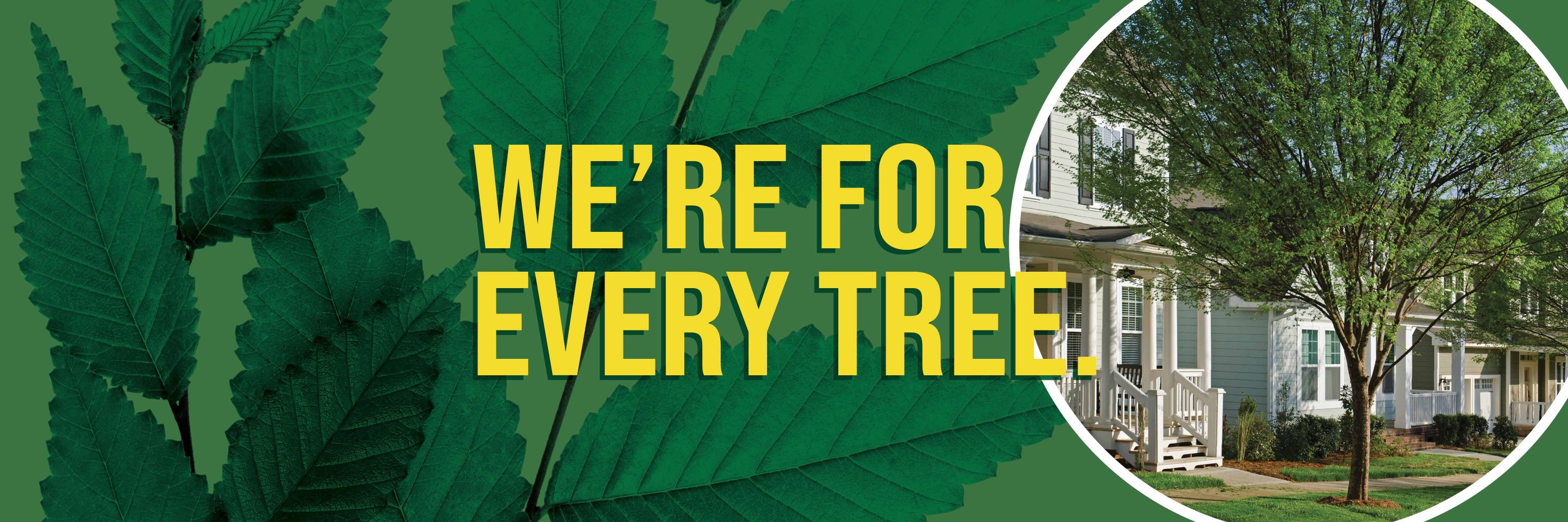Bartlett Tree Experts