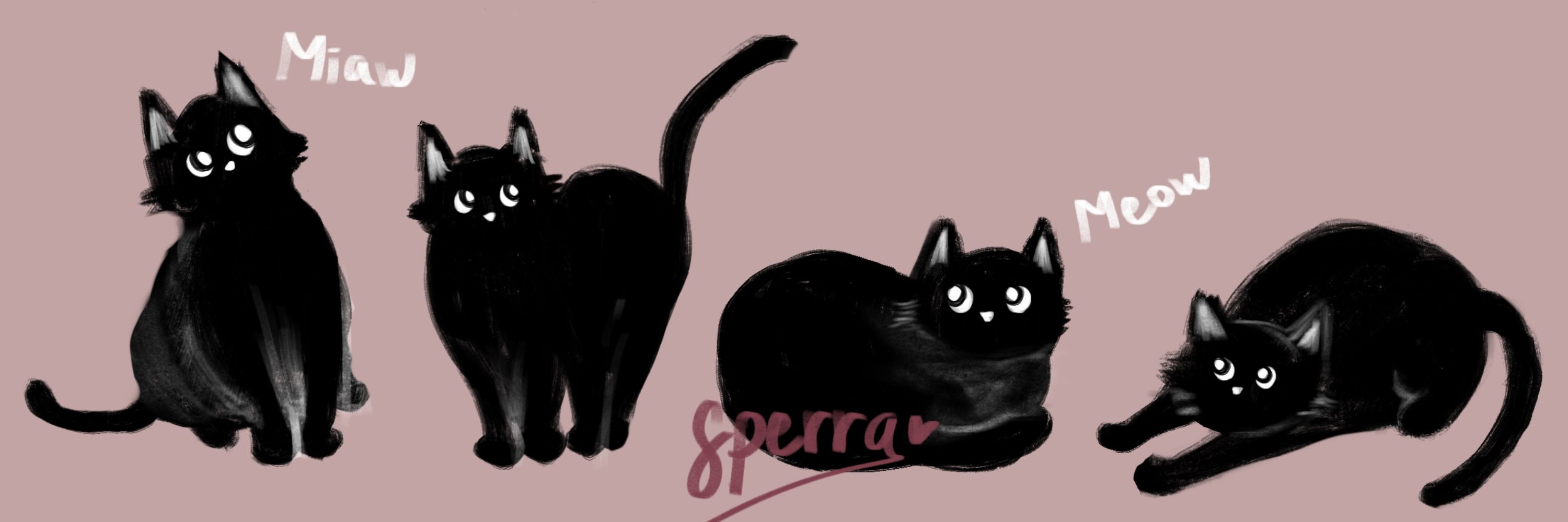 🌙 sperra ☀️