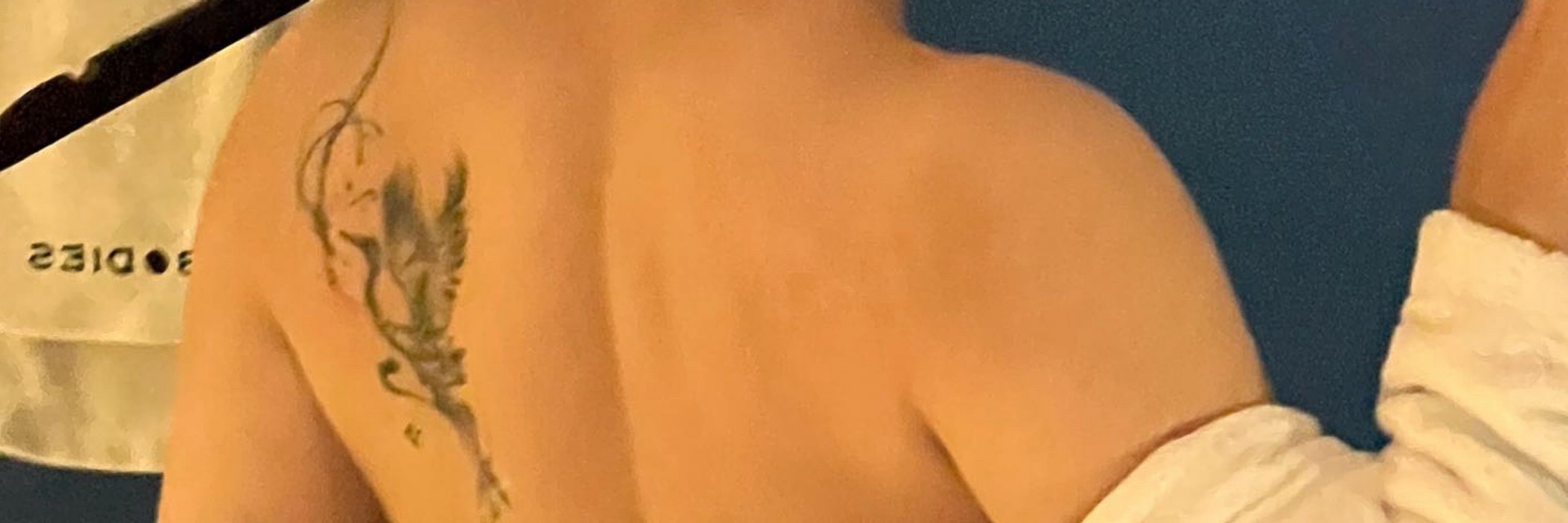 羊毛老师🍑
