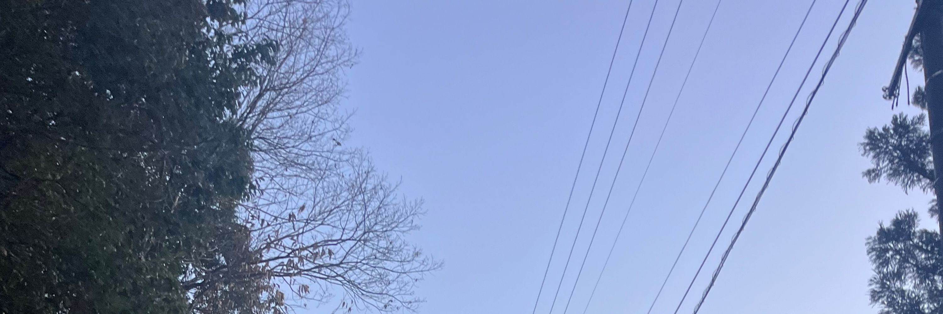 もふ