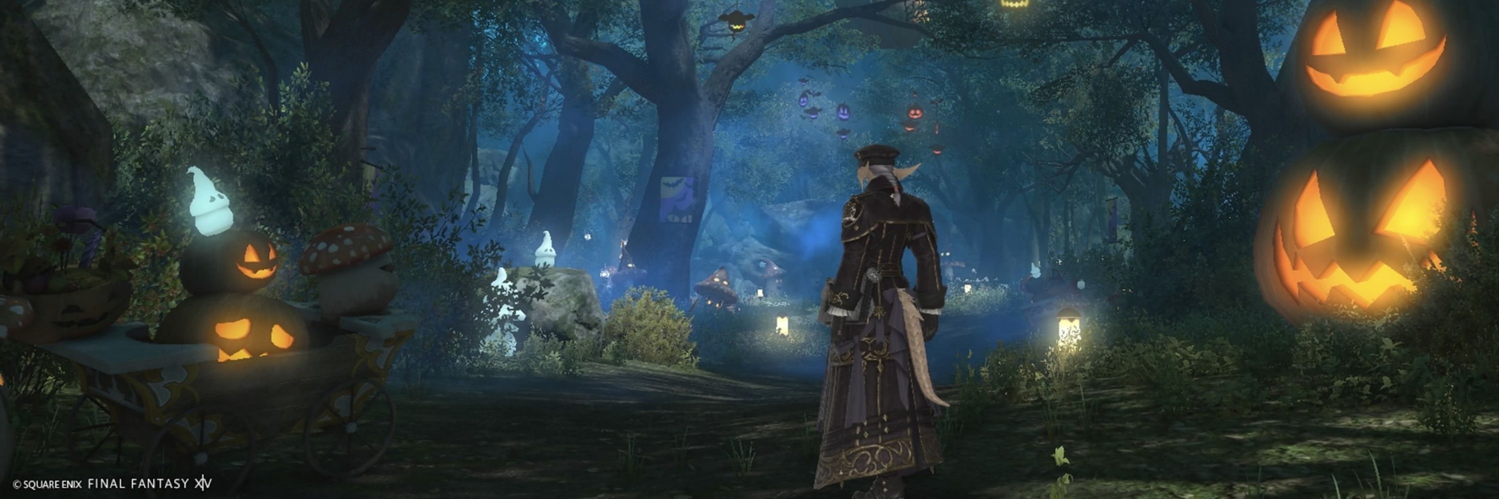 Aurus❖ff14ss用