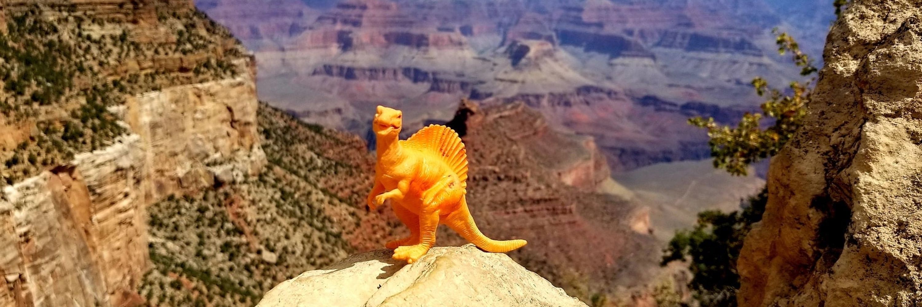 Tiny Dino