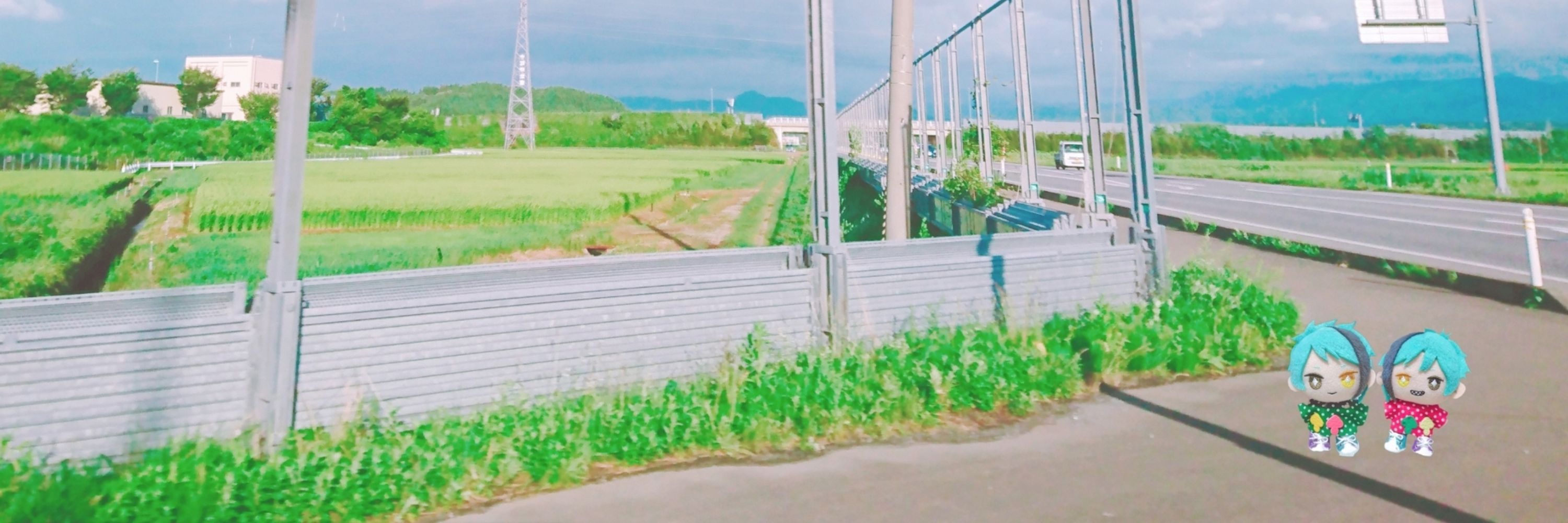 わらびもち