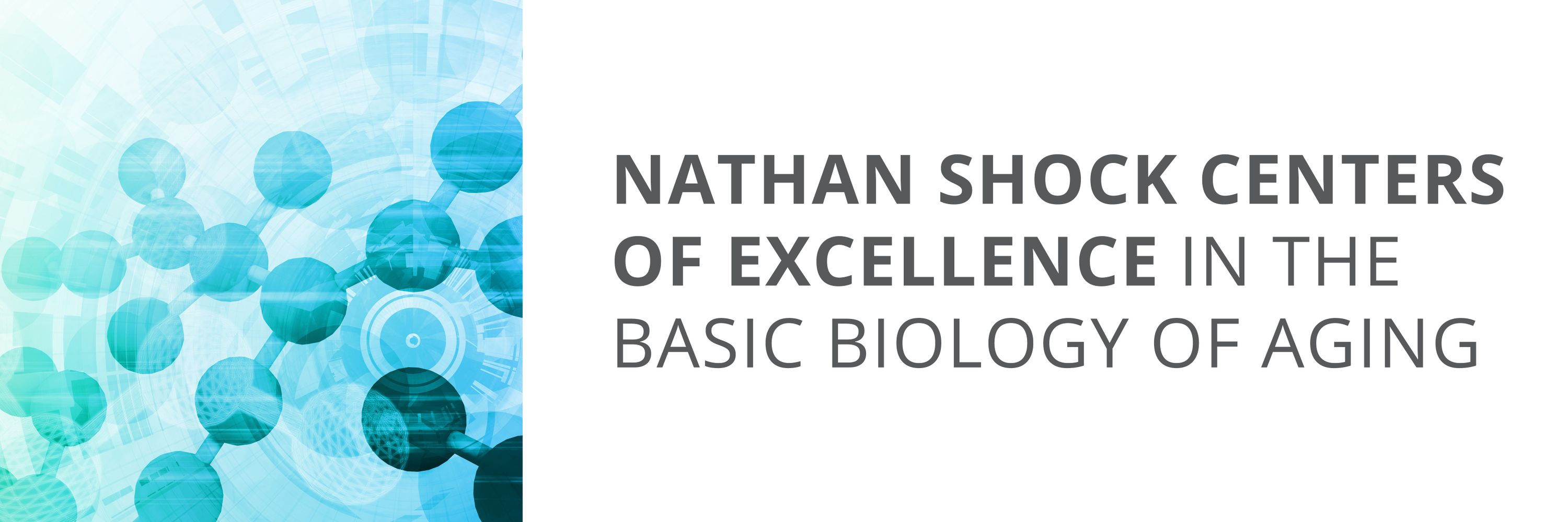 Nathan Shock Centers Coordinating Center