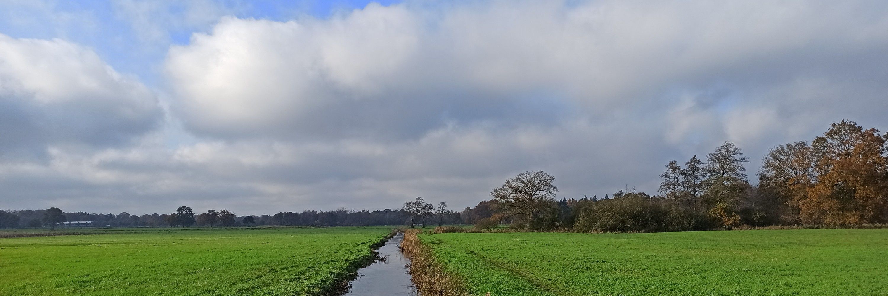 Sönke | Polder