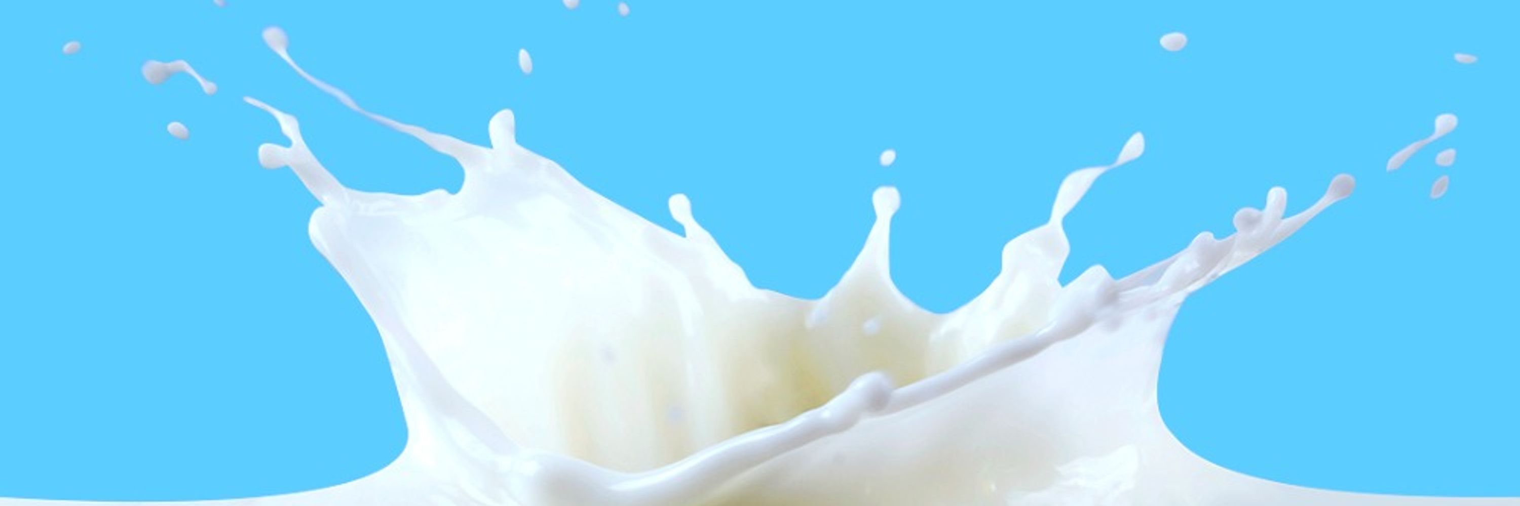 maeil