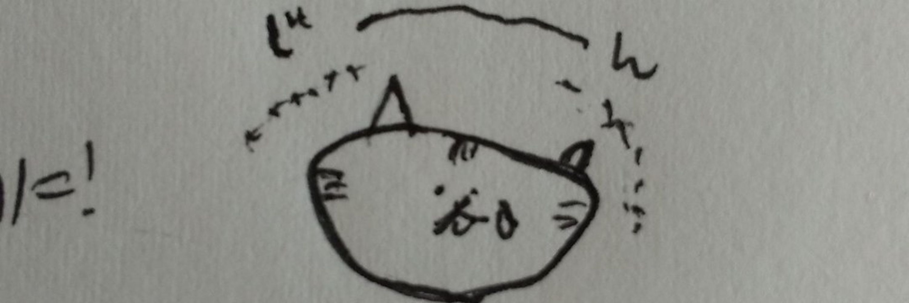 ふぁる｜無職夫婦3年目