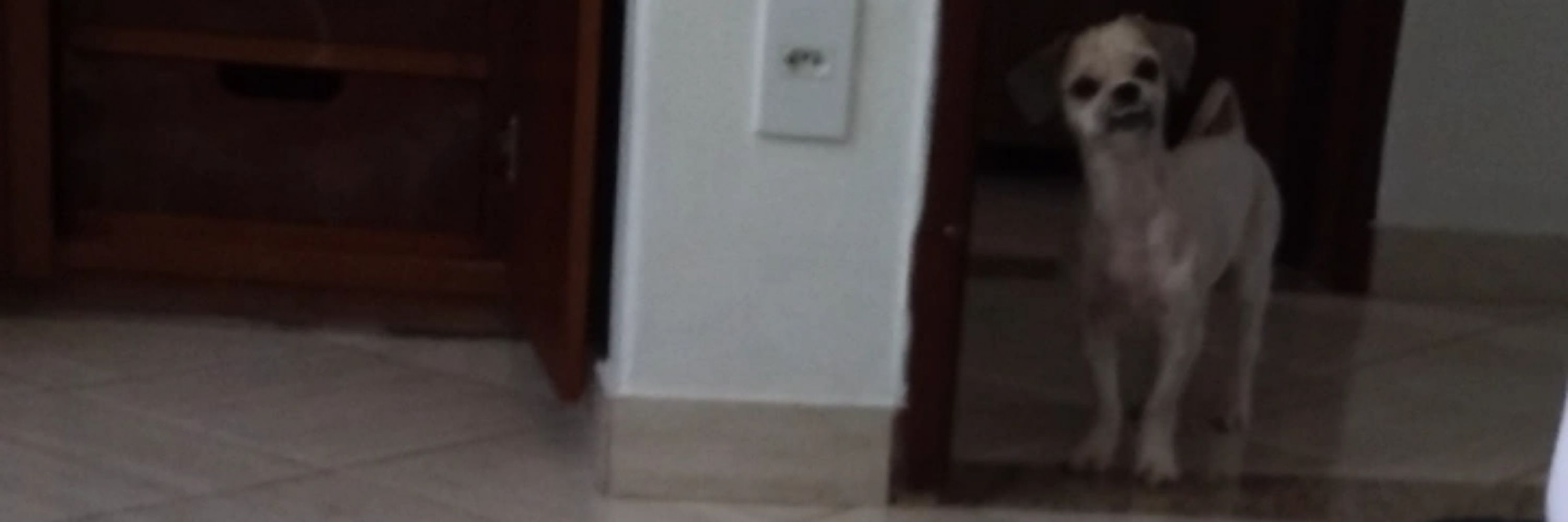 manuzinhaa