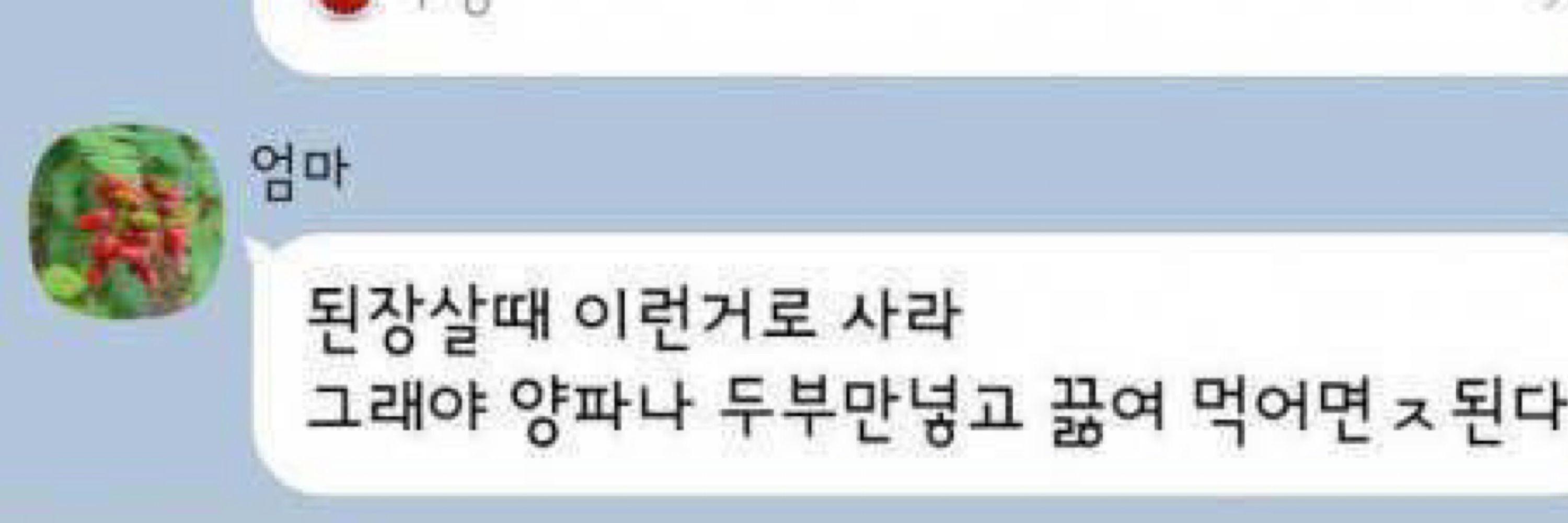묵은지