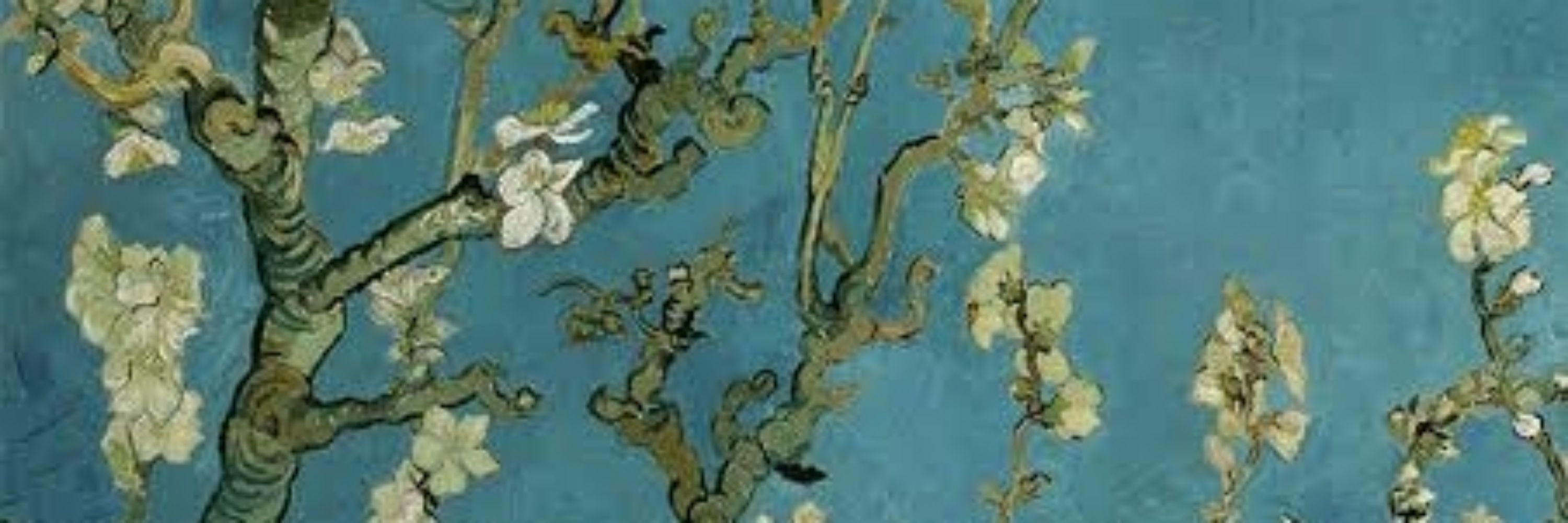 Ceylan