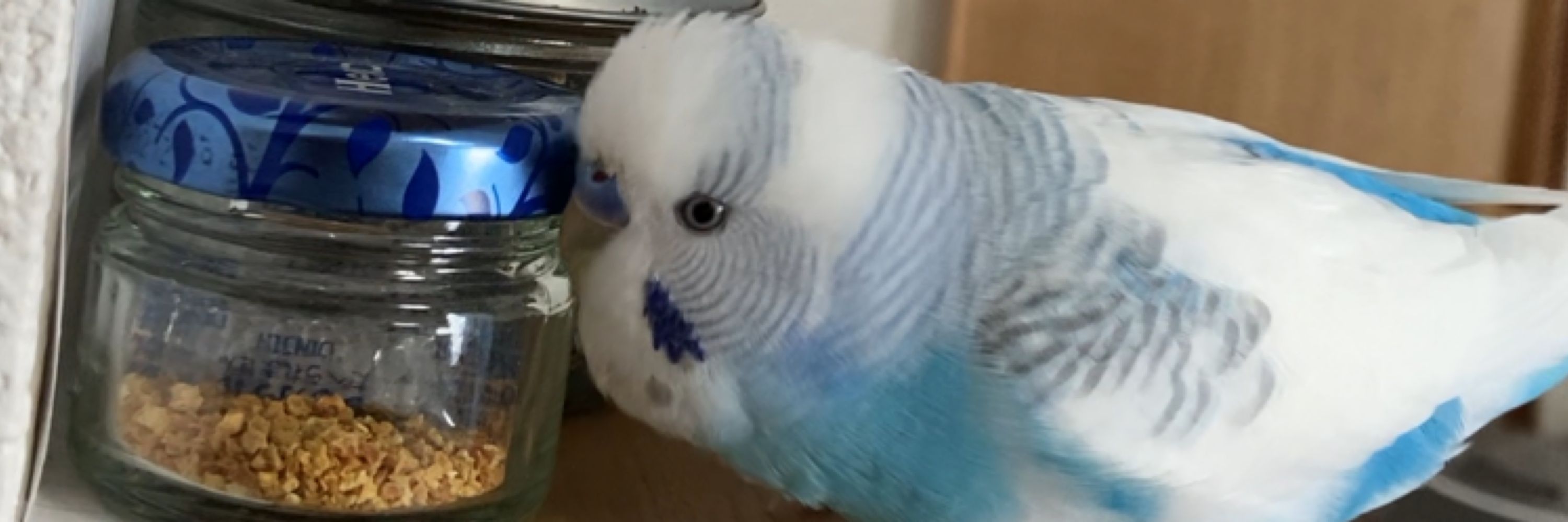 mimimimi