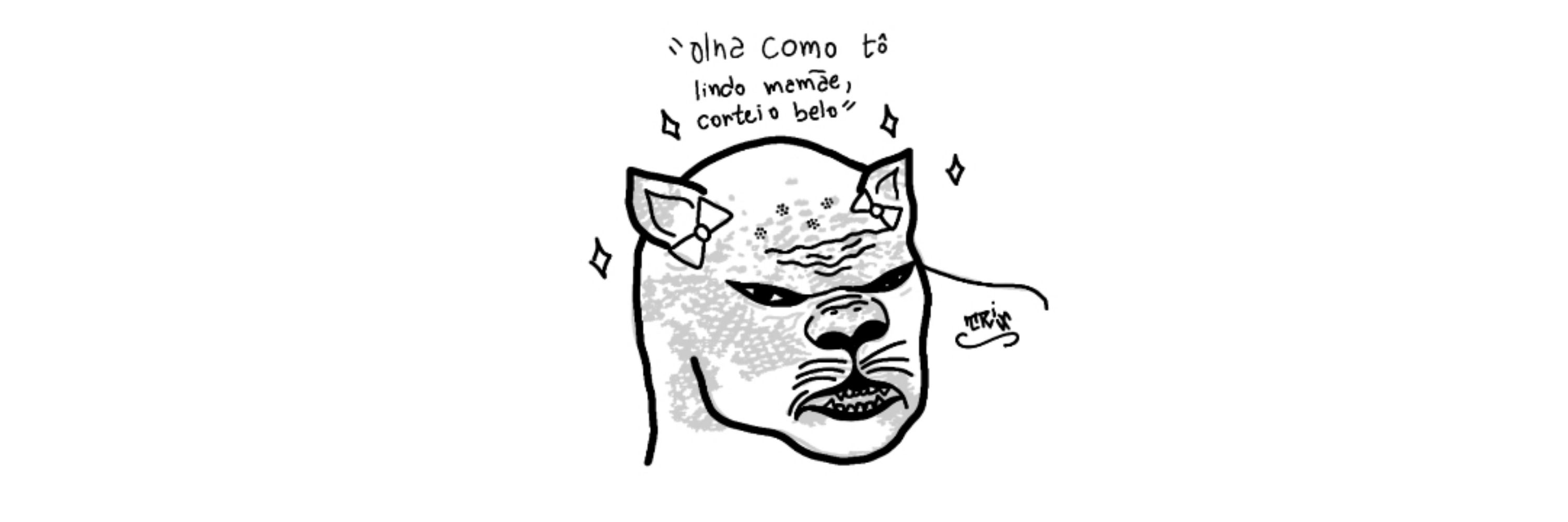 bahzinha