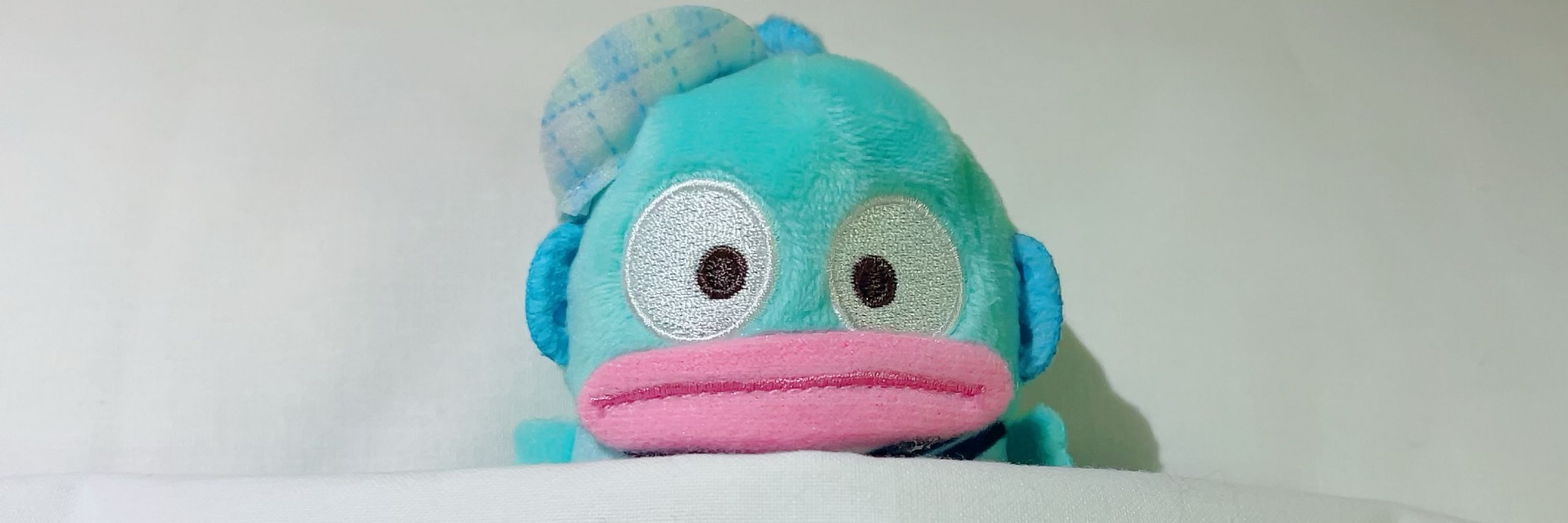 風子