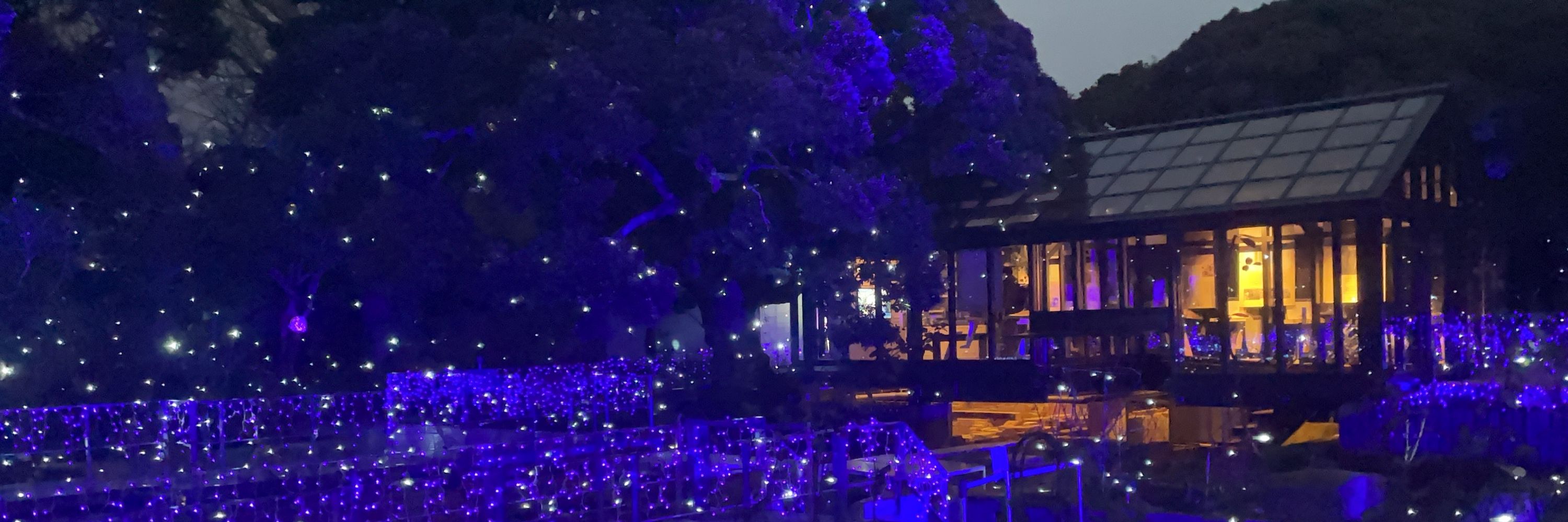 山田花太郎