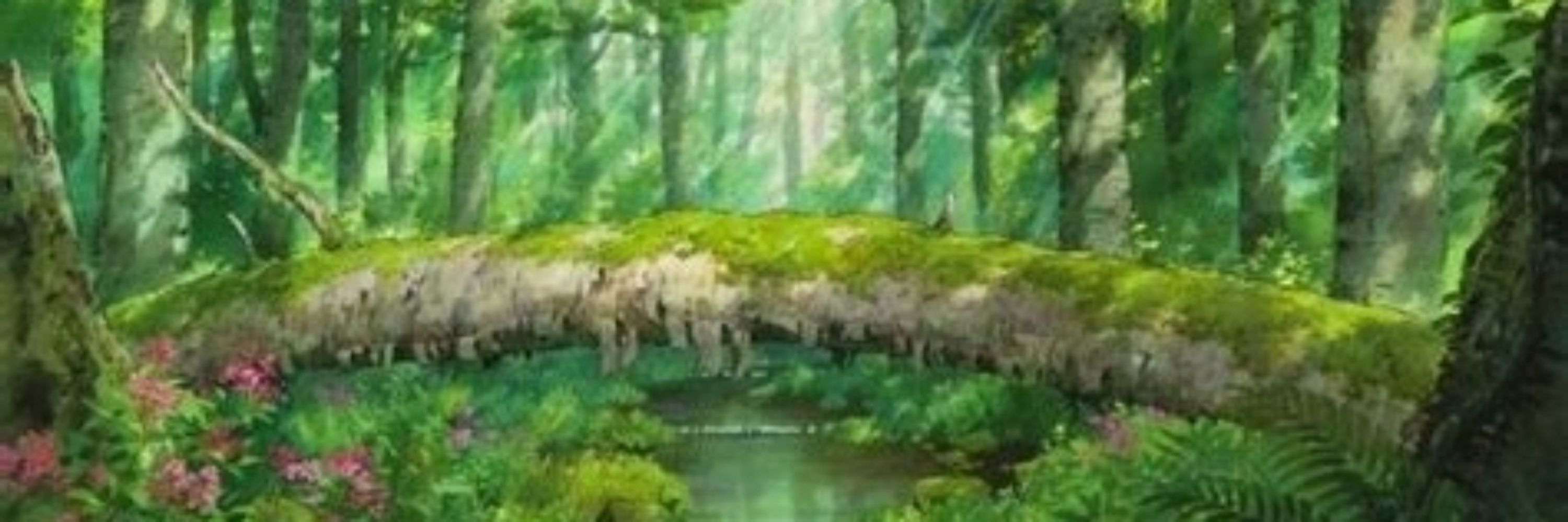 🌿ꪀׁׅꫀׁׅܻ꯱ׁׅ֒ 🌿