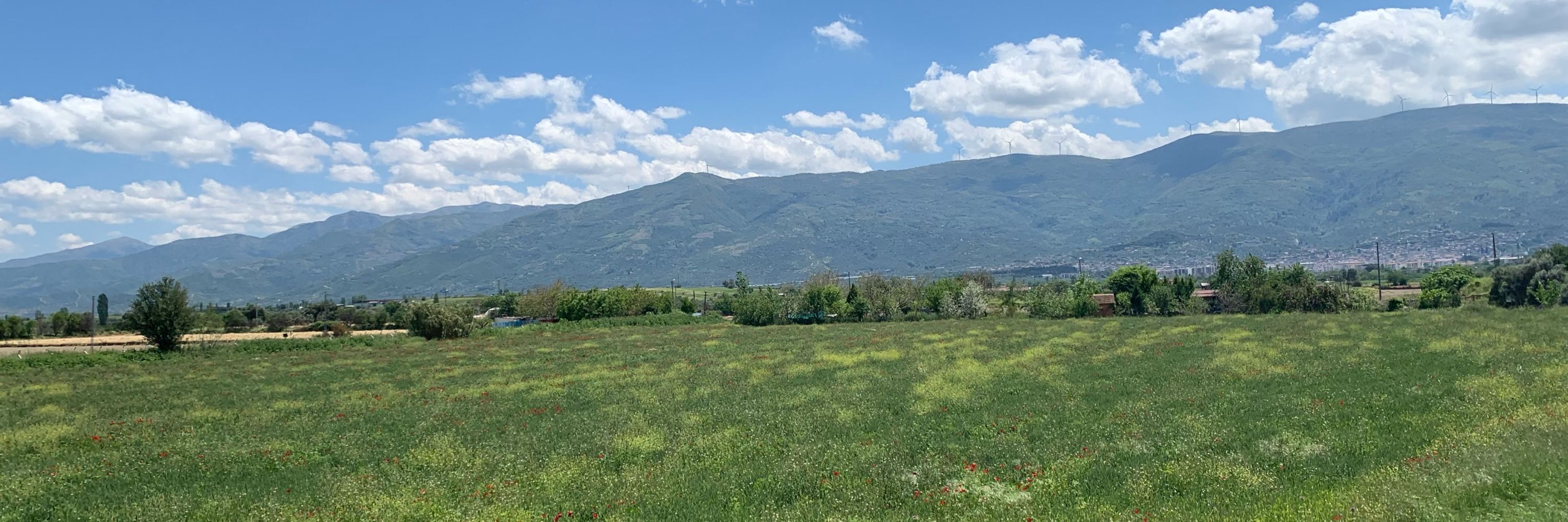Kezban Gün🌱